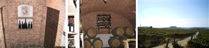 Il vino