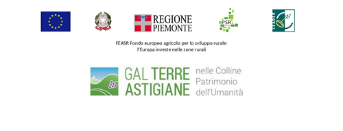 Programma di Sviluppo Rurale 2014-2020 - Progetto per opere di riqualificazione e valorizzazione della Piazza M. Risso nella frazione Repergo